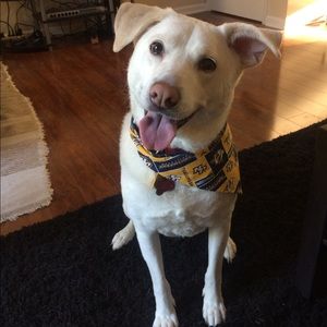 Meet your Posher, Tn